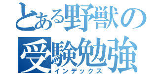 とある野獣の受験勉強（インデックス）