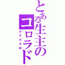 とある生主のコロラド州（ガチホモ枠）