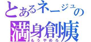 とあるネージュの満身創痍（もうやめろ）