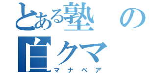 とある塾の白クマ（マナベア）