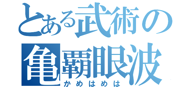 とある武術の亀覇眼波（かめはめは）