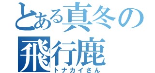 とある真冬の飛行鹿（トナカイさん）