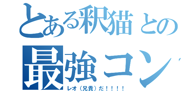 とある釈猫との最強コンビ（レオ（兄貴）だ！！！！）