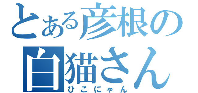 とある彦根の白猫さん（ひこにゃん）