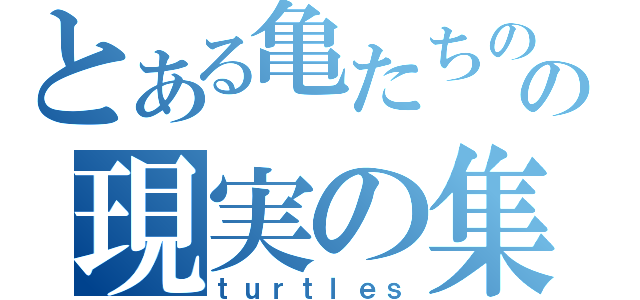 とある亀たちのの現実の集い（ｔｕｒｔｌｅｓ）