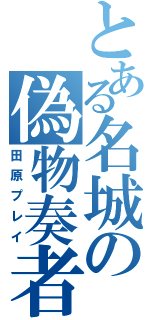 とある名城の偽物奏者（田原プレイ）