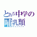 とある中学の哺乳類（ウォンバット）