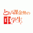 とある課金勢の中学生（たむ）