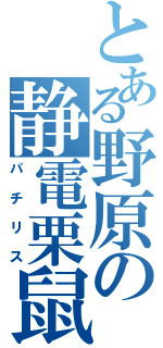 とある野原の静電栗鼠（パチリス）