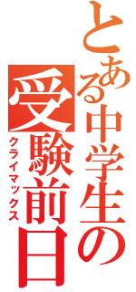 とある中学生の受験前日（クライマックス）