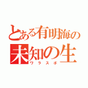 とある有明海の未知の生物（ワラスボ）