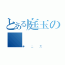 とある庭玉の（テニス）