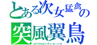 とある次女猛禽　の突風翼鳥（エアリアルエツーデュール・ハーピ）
