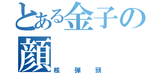 とある金子の顔（核弾頭）