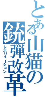 とある山猫の銃弾改革（レボリューション）