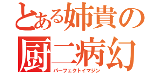 とある姉貴の厨二病幻想（パーフェクトイマジン）