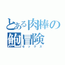 とある肉棒の鮑冒険（セックス）