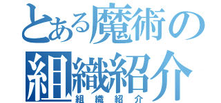 とある魔術の組織紹介（組織紹介）