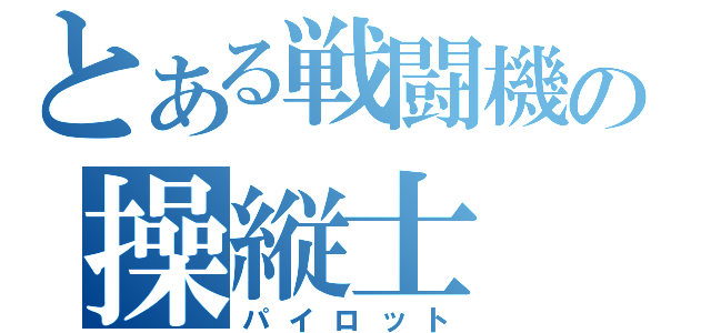 とある戦闘機の操縦士（パイロット）