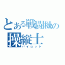 とある戦闘機の操縦士（パイロット）