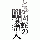 とある固蛇の単独潜入（スニーキング）