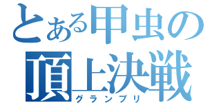 とある甲虫の頂上決戦（グランプリ）