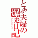 とある夫婦の爆走日記（ハーレーダビットソン）