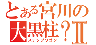 とある宮川の大黒柱？Ⅱ（ステップワゴン）