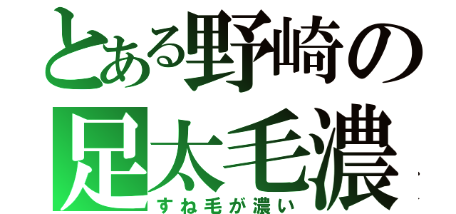 とある野崎の足太毛濃（すね毛が濃い）