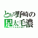 とある野崎の足太毛濃（すね毛が濃い）