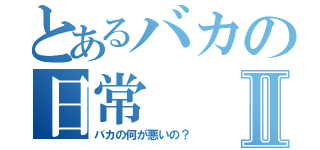 とあるバカの日常Ⅱ（バカの何が悪いの？）