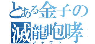 とある金子の滅龍咆哮（シャウト）