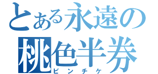 とある永遠の桃色半券（ピンチケ）