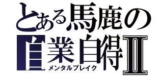 とある馬鹿の自業自得Ⅱ（メンタルブレイク）