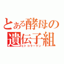 とある酵母の遺伝子組換え（ヒトコラーゲン）