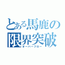 とある馬鹿の限界突破（オーバーフロー）