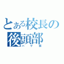 とある校長の後頭部（ハゲ頭）