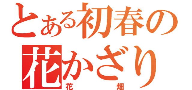 とある初春の花かざり（花畑）