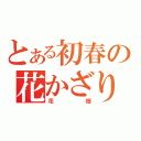 とある初春の花かざり（花畑）