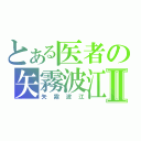 とある医者の矢霧波江Ⅱ（矢霧波江）