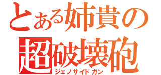 とある姉貴の超破壊砲（ジェノサイドガン）