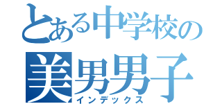 とある中学校の美男男子（インデックス）