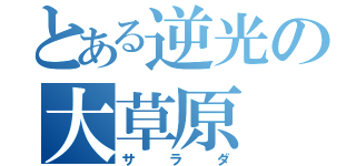 とある逆光の大草原（サラダ）