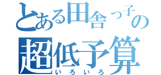 とある田舎っ子の超低予算動画（いろいろ）