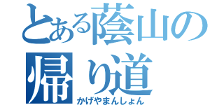 とある蔭山の帰り道（かげやまんしょん）