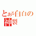 とある白白の神裂滅熾（）