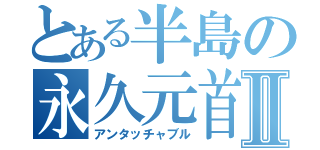 とある半島の永久元首Ⅱ（アンタッチャブル）