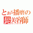 とある播磨の髭美容師（イトノリタイキ）