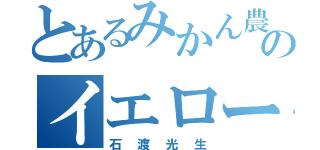 とあるみかん農家のイエローハンド（石渡光生）