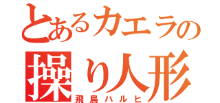 とあるカエラの操り人形（飛鳥ハルヒ）